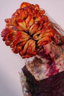 Assembly Winter 2023 - 230225154501.jpg