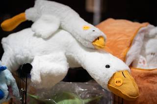 Comic Con Finland 2024 - 240511093731.jpg