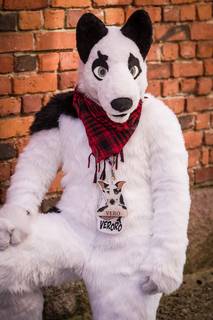 Desucon 2017 - 170617142414.jpg