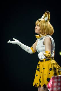 Desucon 2017 - 170617171328.jpg