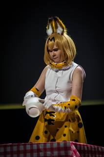 Desucon 2017 - 170617171343.jpg