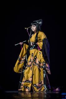 Desucon 2017 - 170617174108.jpg