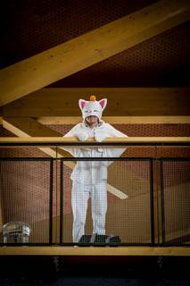 Desucon 2017 - 180617095349.jpg