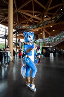 Desucon 2022 - 220618111643.jpg