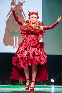 Desucon 2023 - 230617172218.jpg