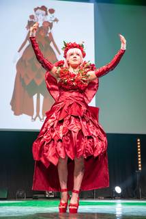 Desucon 2023 - 230617172227.jpg