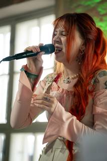 Desucon 2024 - 240614181901.jpg