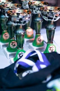 Desucon 2024 - 240615160534.jpg