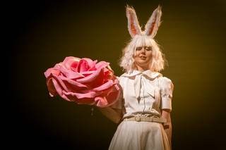 Desucon 2024 - 240615165936.jpg