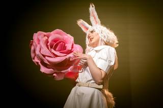 Desucon 2024 - 240615165940.jpg