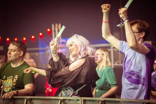 Desucon 2024 - 240615195219.jpg