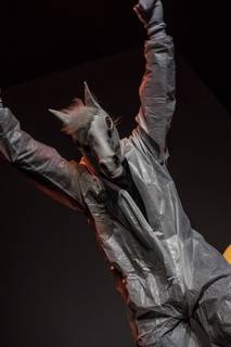 Frostbite 2017 - 170128185015.jpg