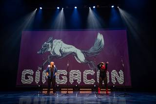 Gingacon 2019 - 021119120242.jpg