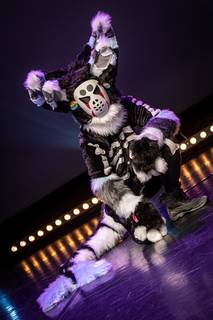 Gingacon 2019 - 021119130211.jpg