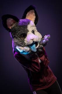 Gingacon 2019 - 021119134529.jpg