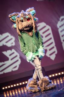 Gingacon 2019 - 021119151238.jpg