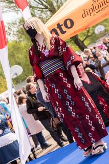 Hanami 2016 - 160515134633.jpg