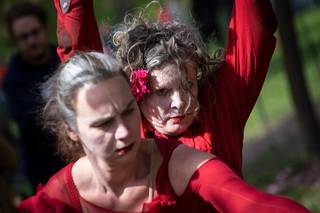 Hanami 2016 - 160515141731.jpg