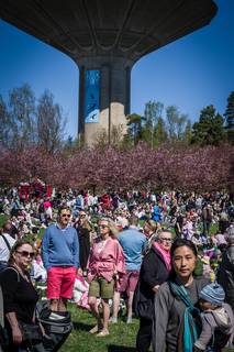 Hanami 2017 - 210517111522.jpg
