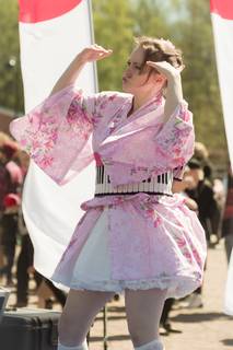 Hanami 2017 - 210517122915.jpg