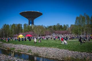 Hanami 2017 - 210517130624.jpg