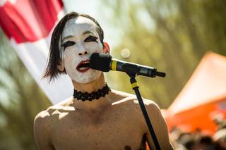 Hanami 2017 - 210517132044.jpg