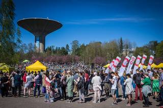 Hanami 2017 - 210517141532.jpg