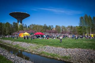 Hanami 2017 - 210517142040.jpg