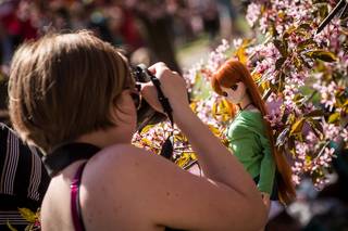 Hanami 2017 - 210517142530.jpg