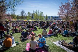 Hanami 2017 - 210517144730.jpg