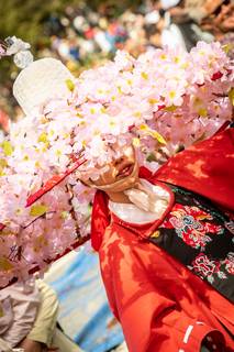 Hanami 2019 - 190519125546.jpg