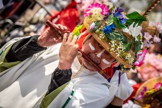 Hanami 2019 - 190519131323.jpg