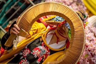 Hanami 2019 - 190519131334.jpg