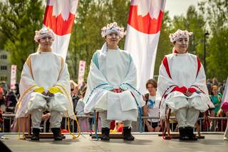 Hanami 2019 - 190519131550.jpg