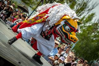 Hanami 2019 - 190519132007.jpg