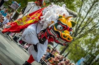 Hanami 2019 - 190519132009.jpg