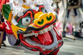 Hanami 2019 - 190519132023.jpg