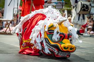 Hanami 2019 - 190519132129.jpg