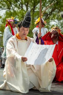 Hanami 2019 - 190519132222.jpg