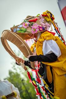 Hanami 2019 - 190519132518.jpg