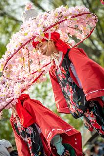 Hanami 2019 - 190519132552.jpg