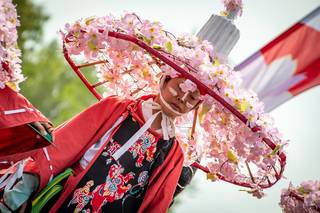 Hanami 2019 - 190519132705.jpg