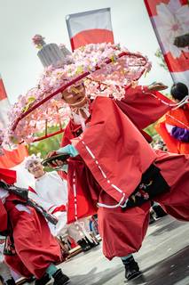 Hanami 2019 - 190519132732.jpg