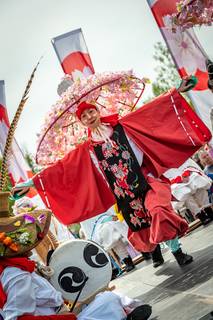 Hanami 2019 - 190519132744.jpg