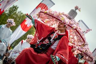 Hanami 2019 - 190519132843.jpg