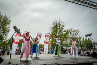 Hanami 2019 - 190519135542.jpg