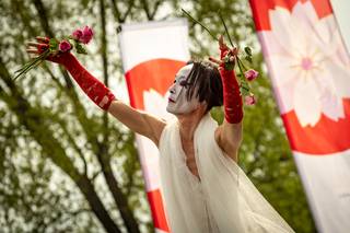 Hanami 2019 - 190519143223.jpg