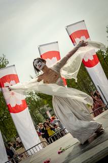 Hanami 2019 - 190519143351.jpg