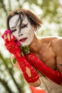 Hanami 2019 - 190519144423.jpg