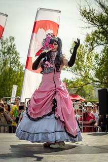 Hanami 2019 - 190519152854.jpg